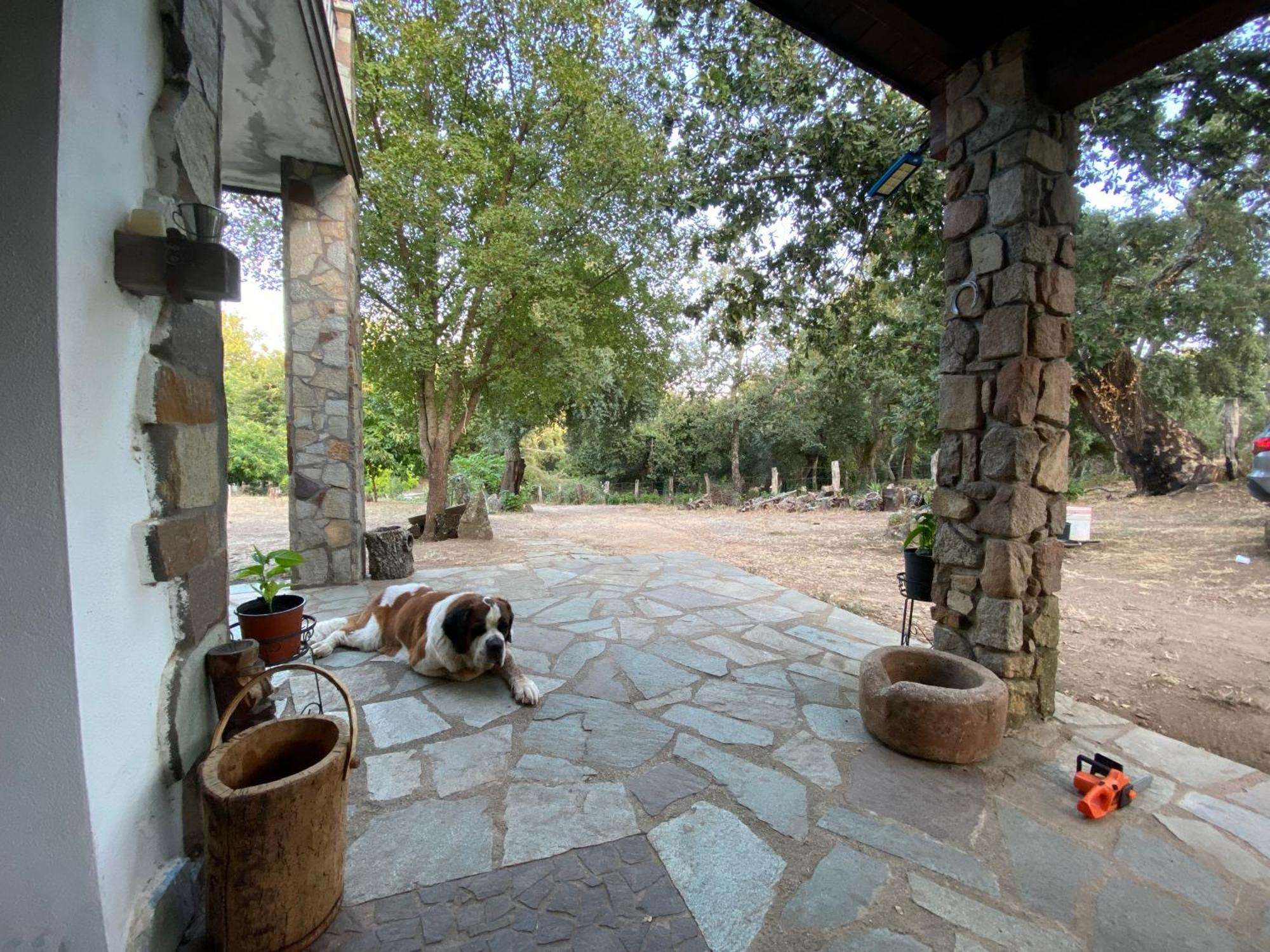 Agriturismo Pranu Sorgono Exterior foto